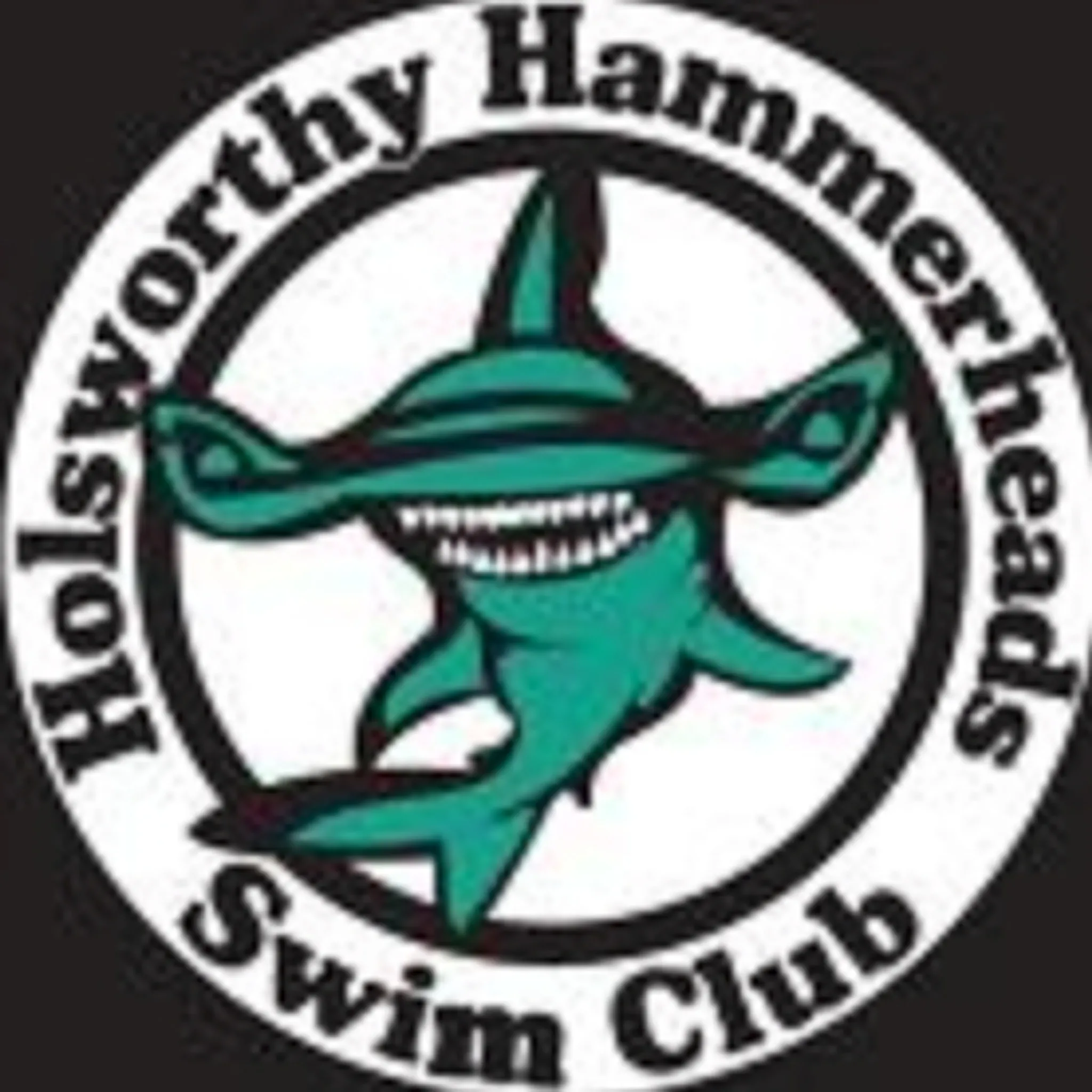 Holsworthy Hammerheads Swim Club