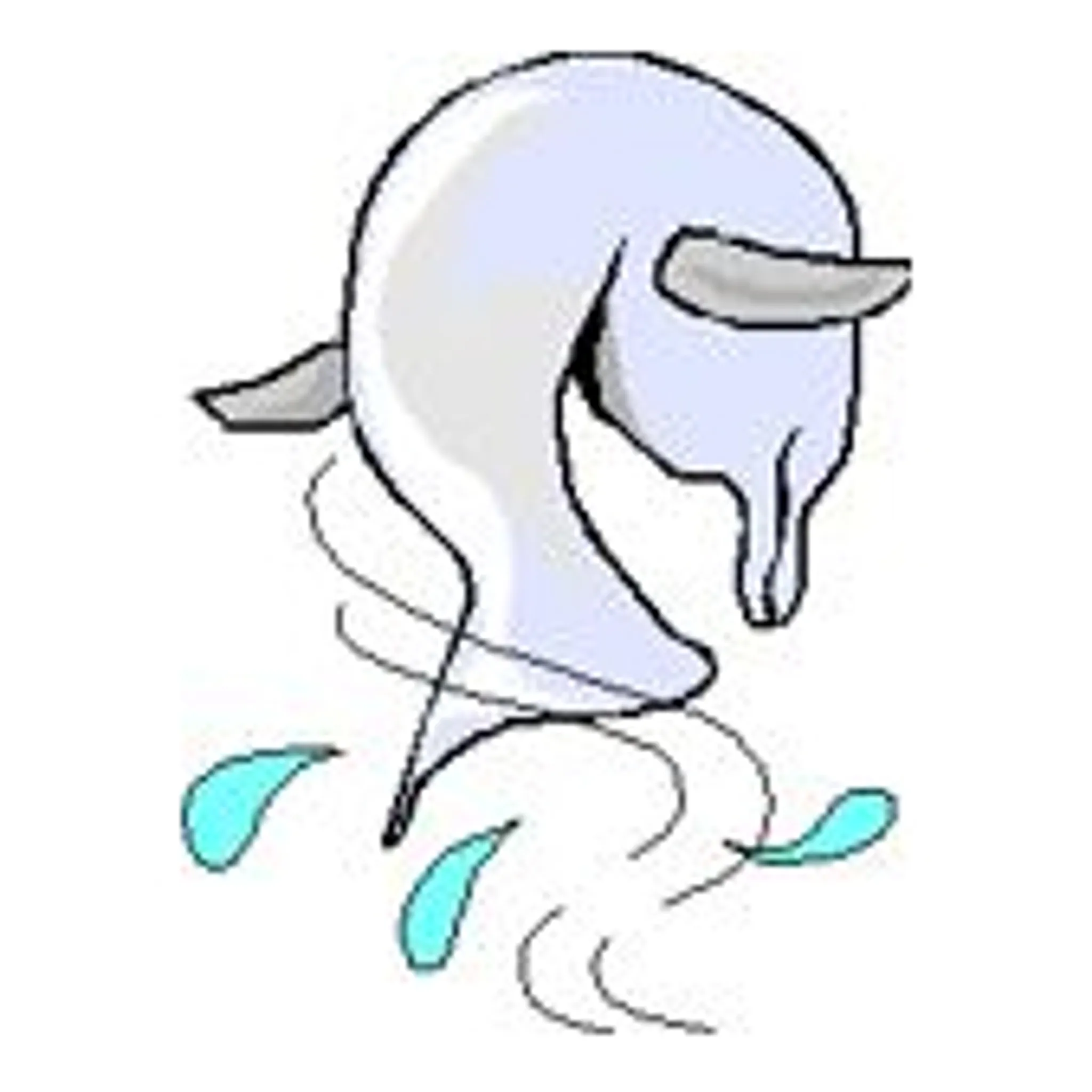 Alice Aussi Masters Swim Club