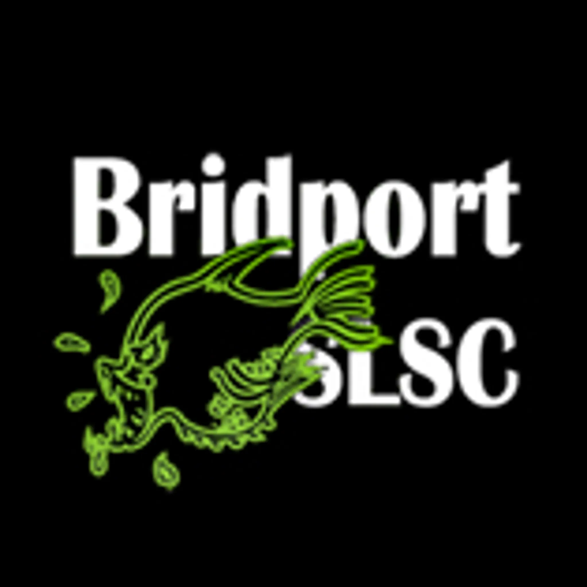 Bridport Surf Life Saving Club