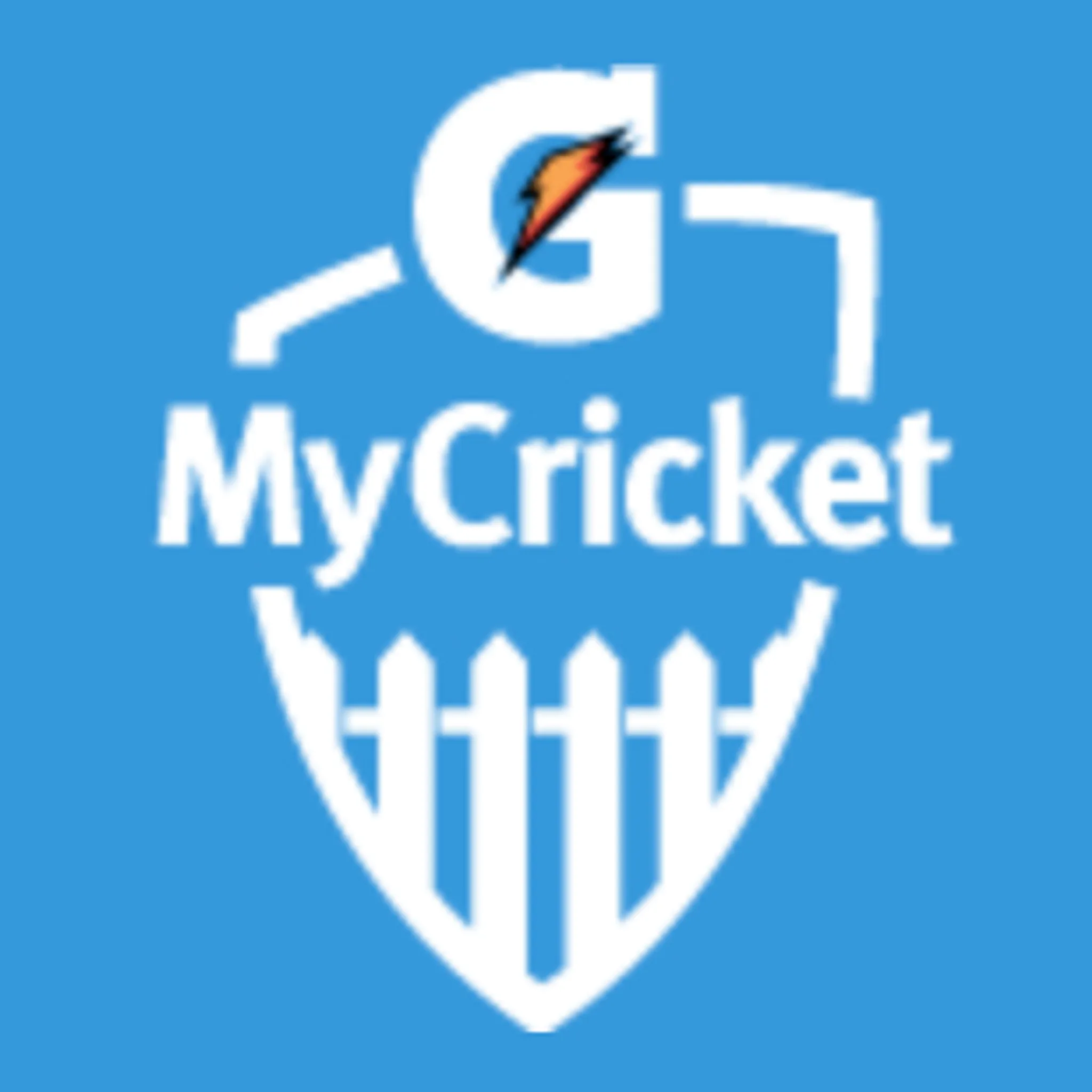 Bruce Rock-Narembeen Cricket Association (BRNCA)