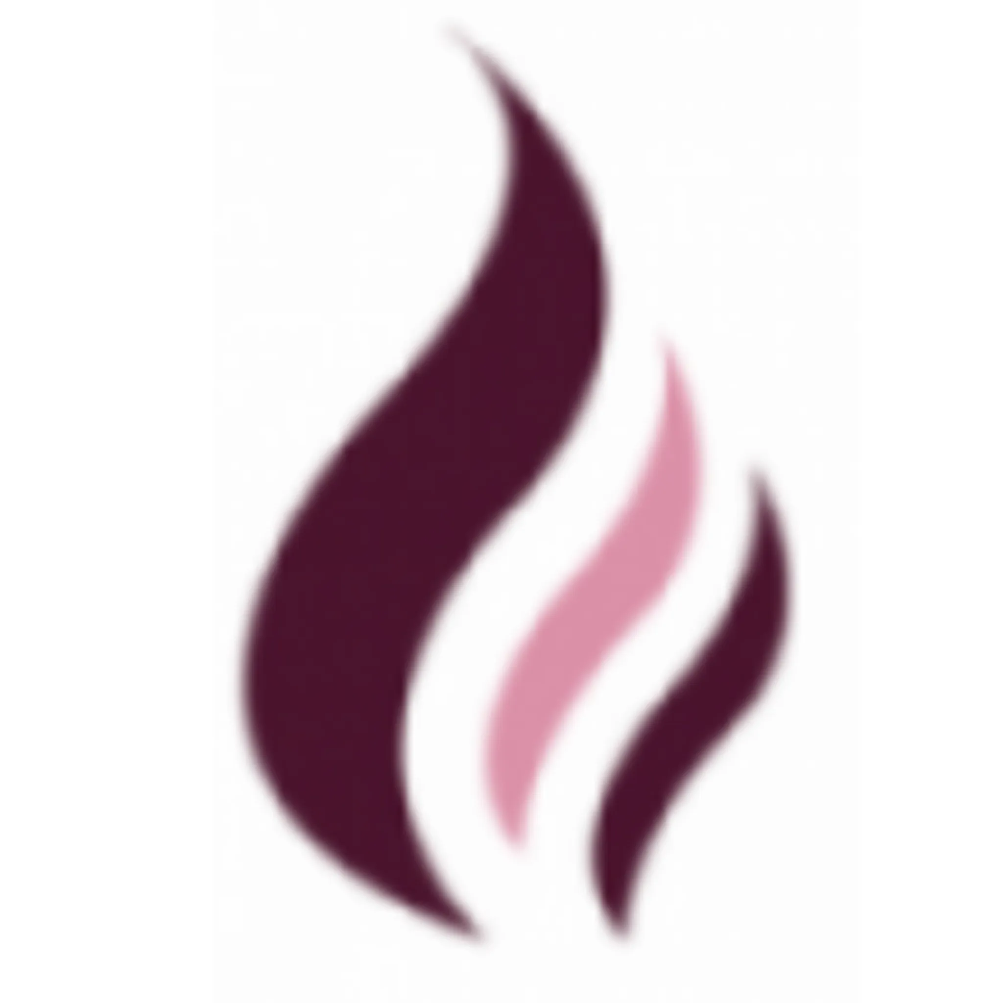 Western Flames Netball Club