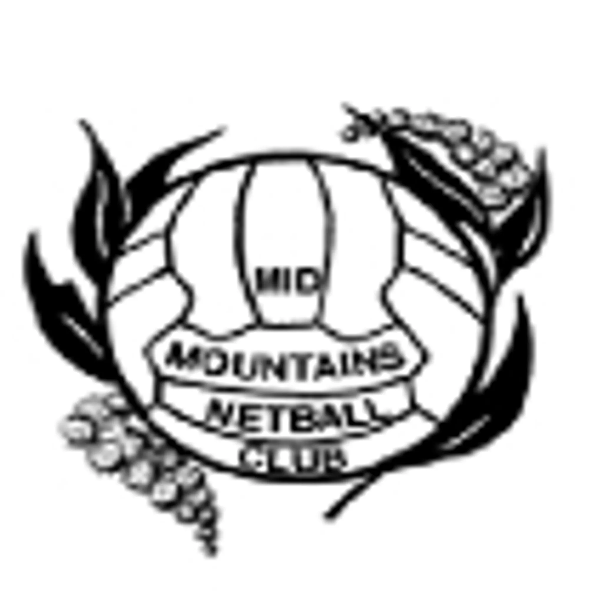 Blue Mountains Volunteers Netball Club