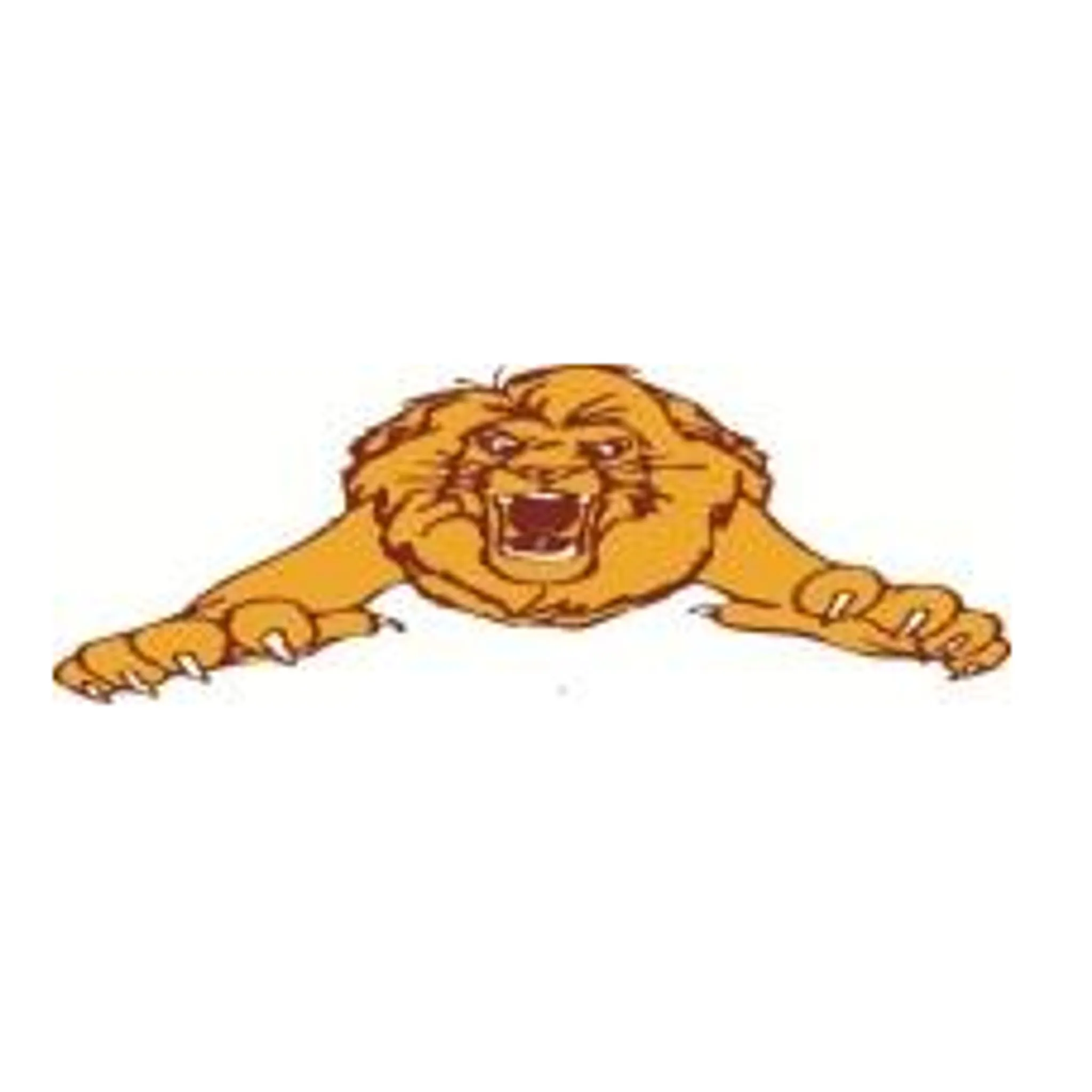 Narre South Lions Football & Netball Club