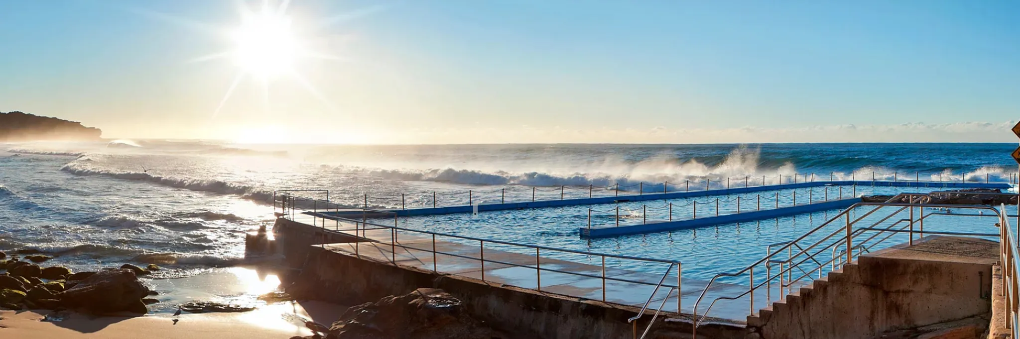 Harbord Frigid Frogs