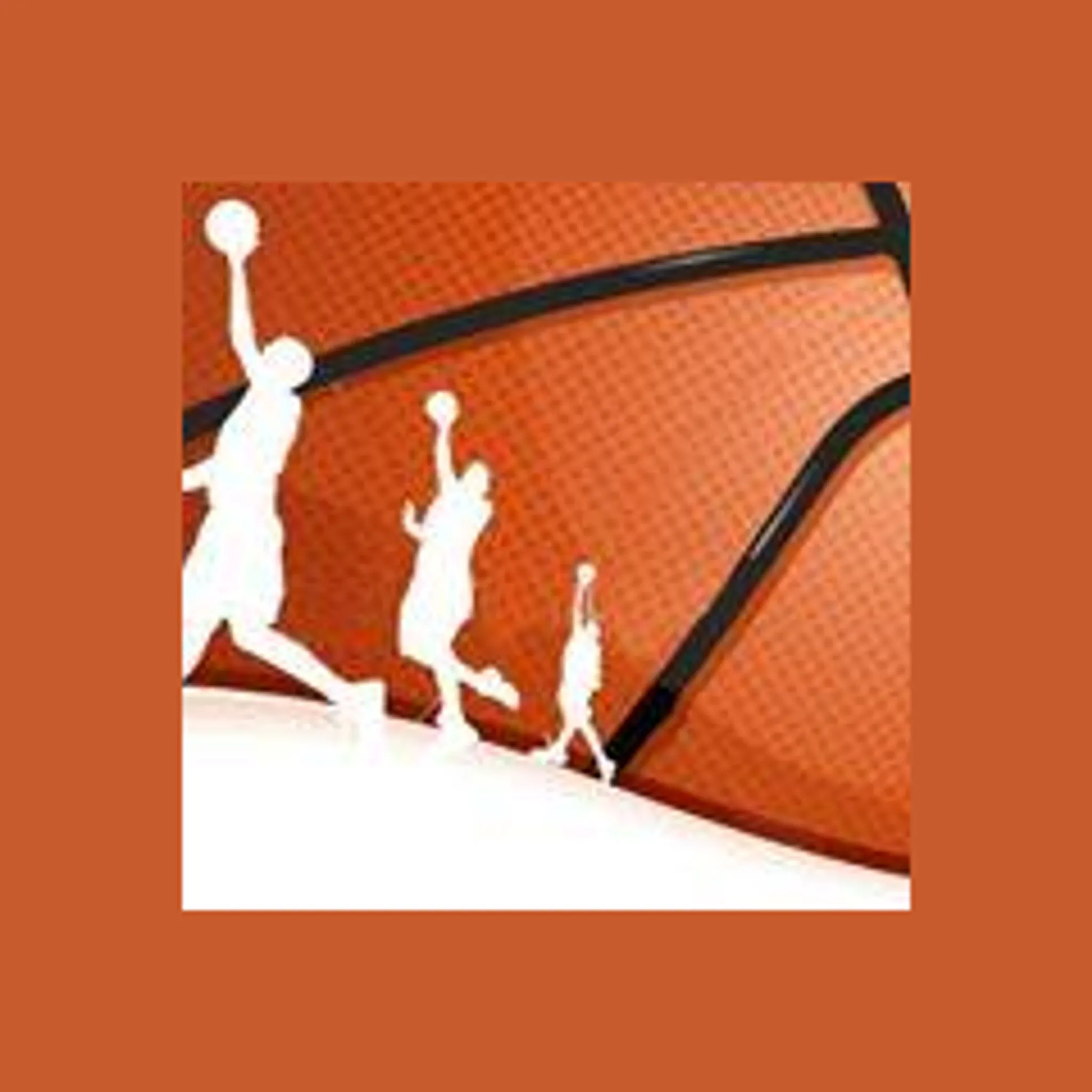 Cobden Olympic Basketball Association