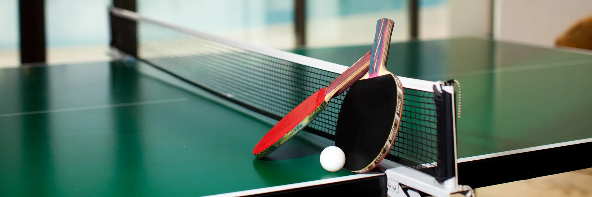 Social Table Tennis Social Table Tennis