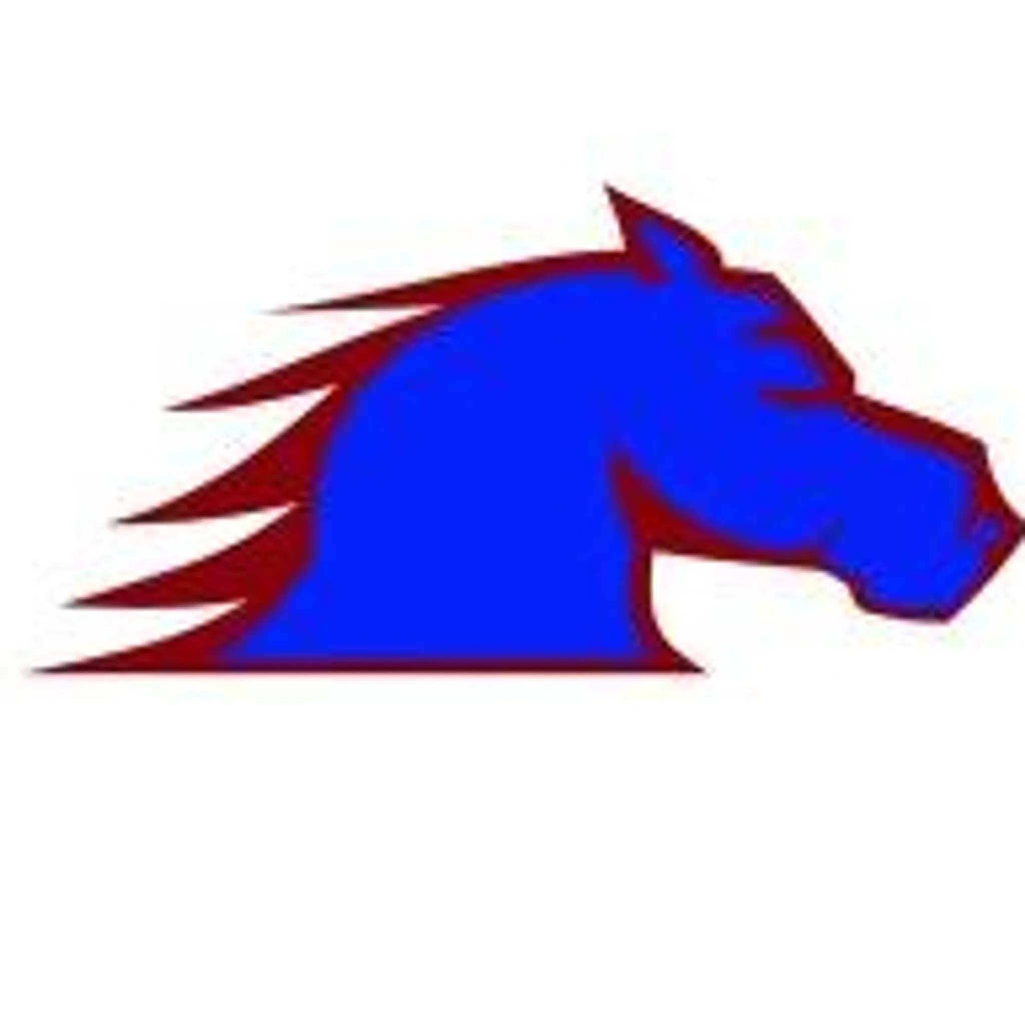 Baulkham Hills Brumbies JRLFC