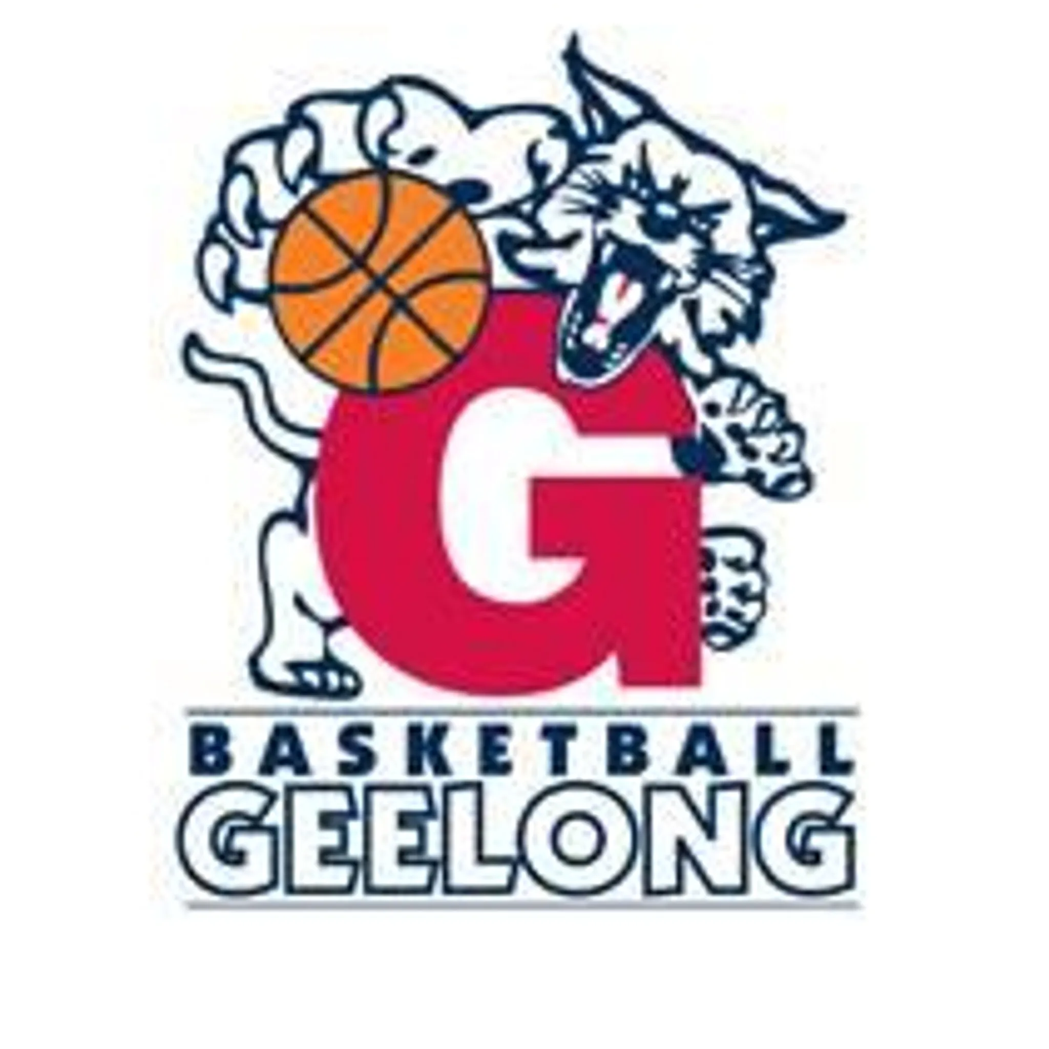 Basketball Geelong