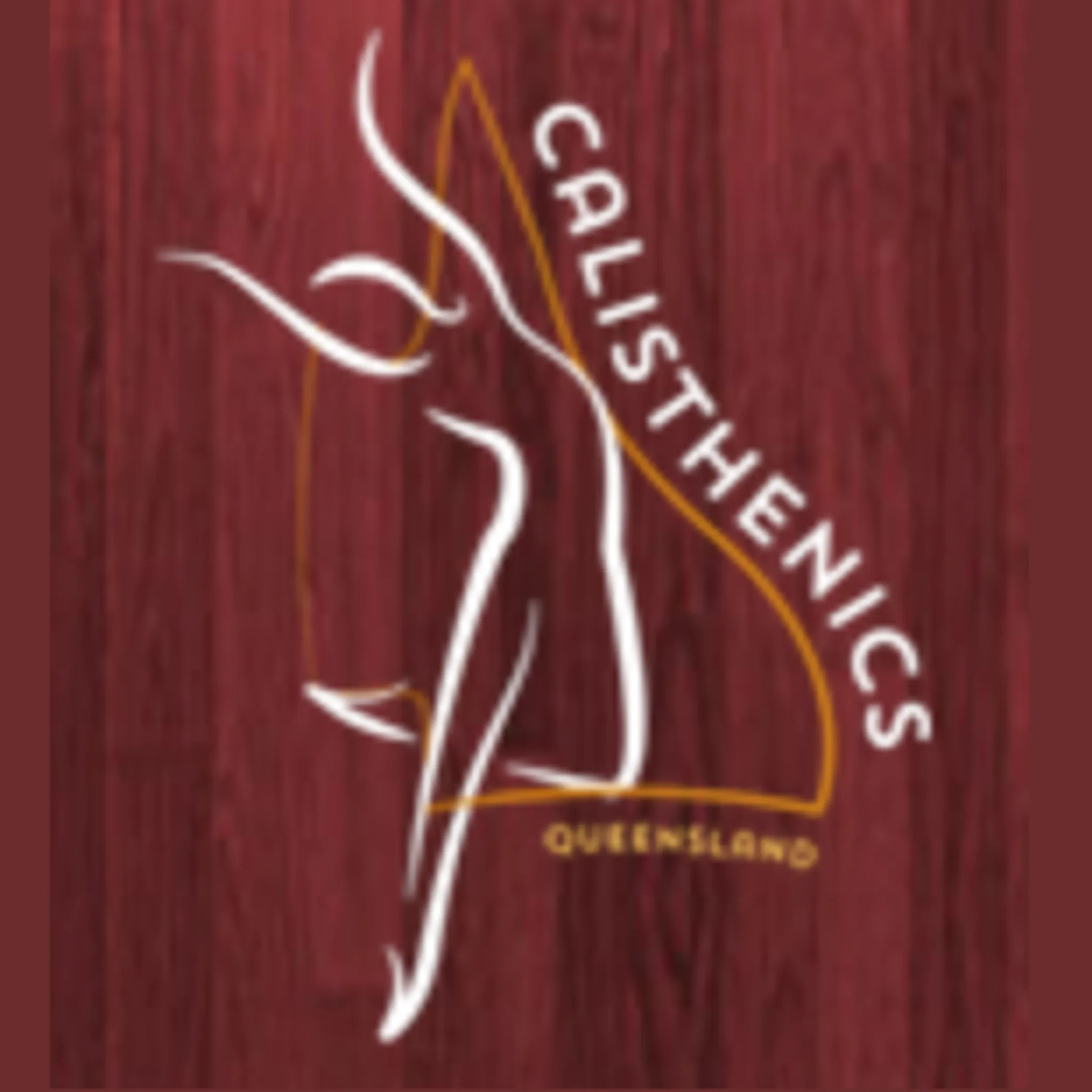 Sparkles Calisthenics Dance School