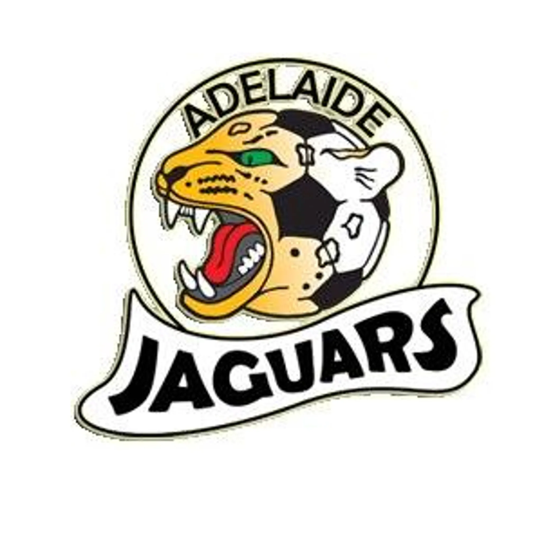 Adelaide Jaguars Football Club