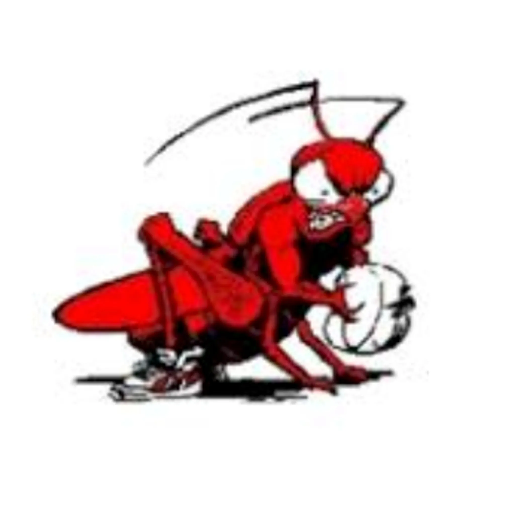 Ulverstone Basketball Association