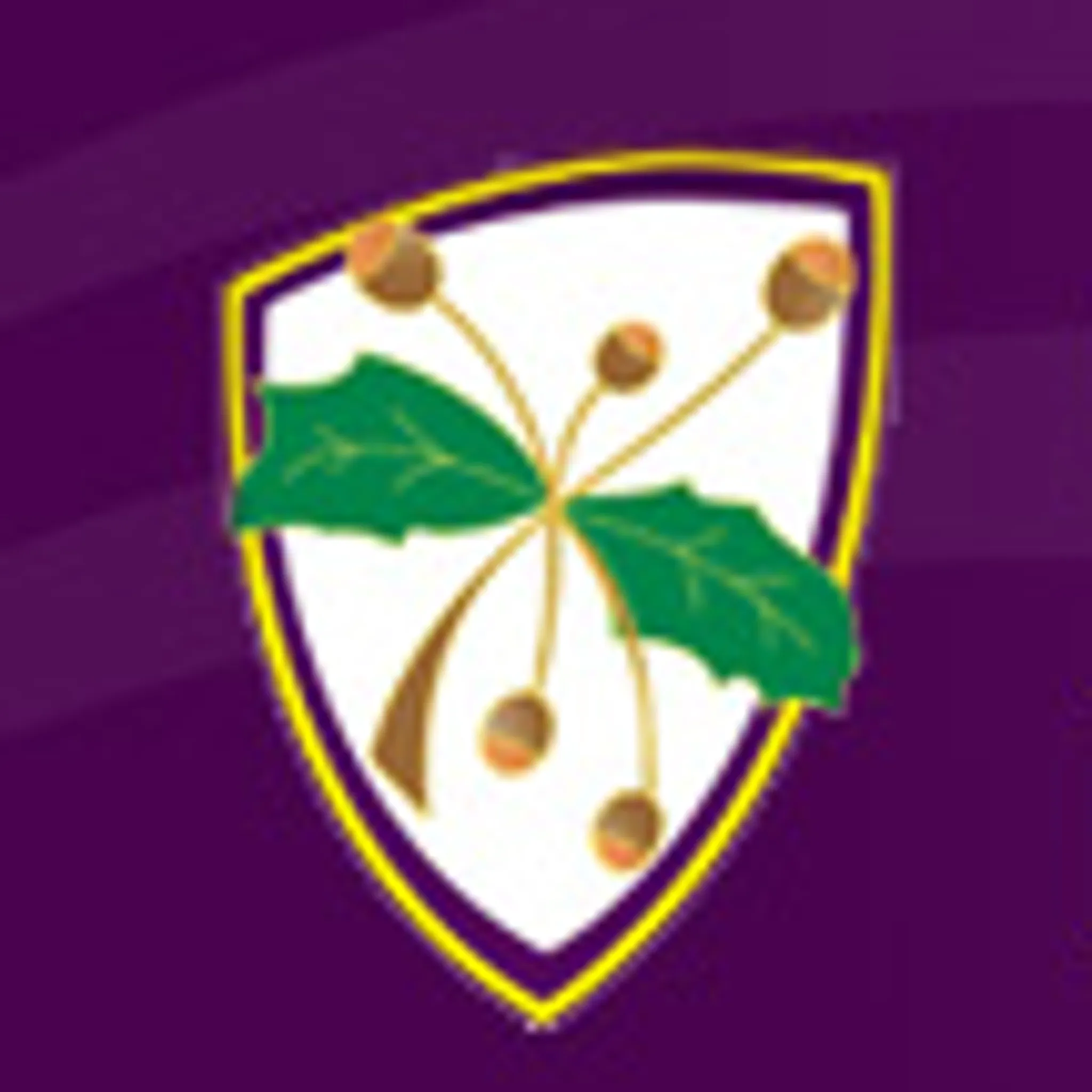 Oakleigh Hearts Netball Club