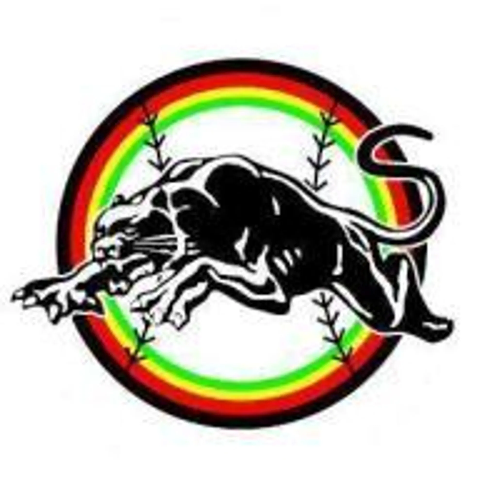 Penrith City Softball Association