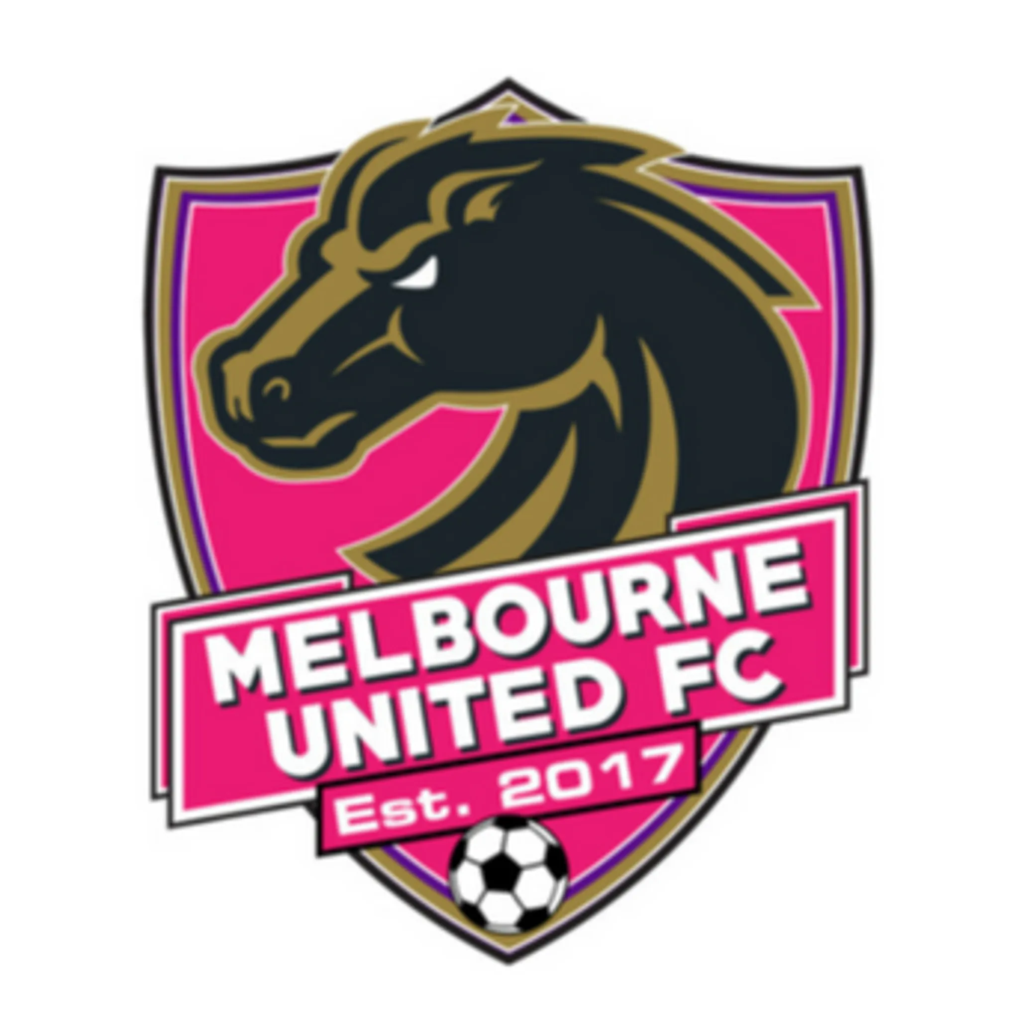 Melbourne United Futsal Club