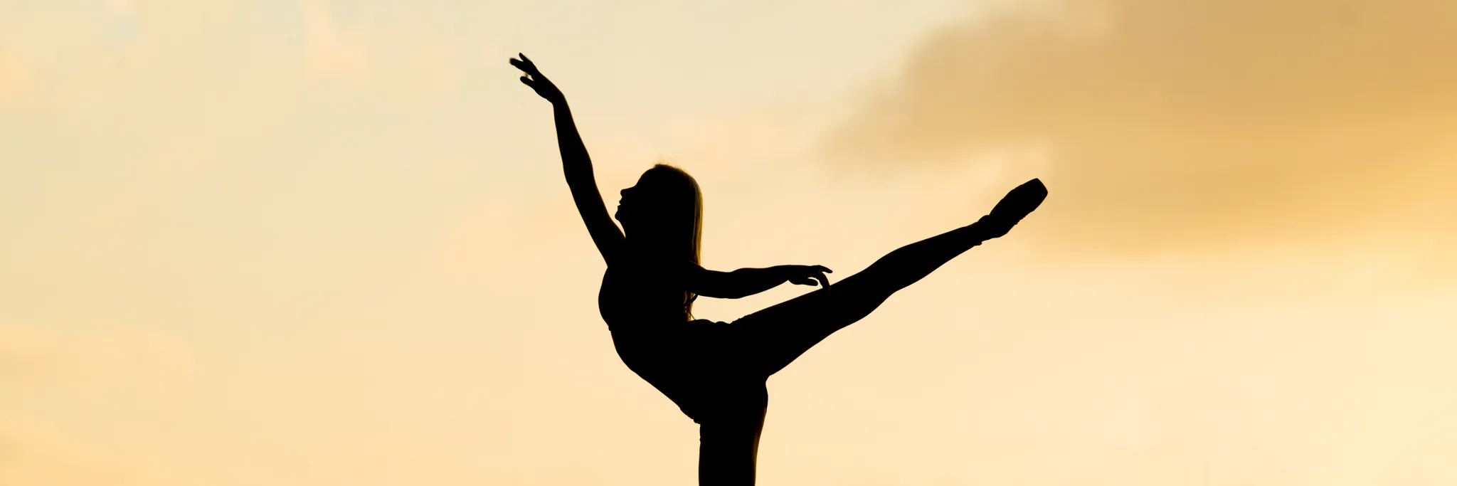 The Teresa Johnson Ballet School