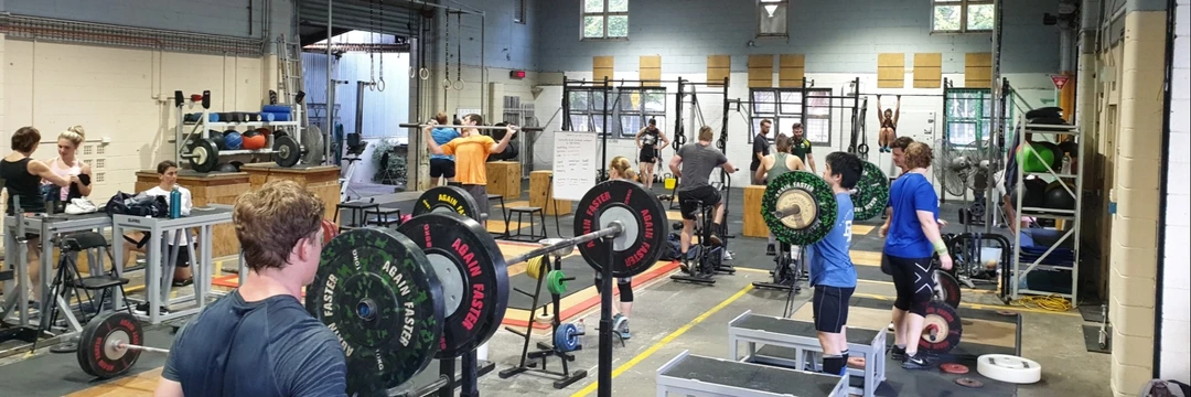 MolyFit