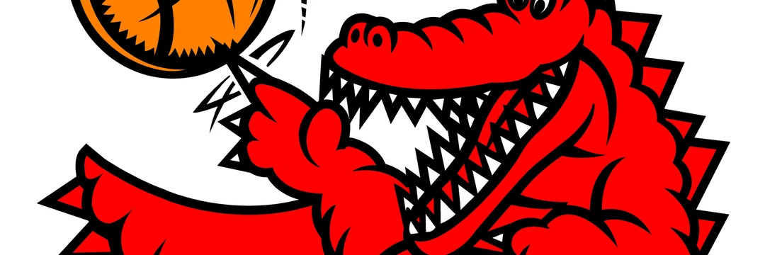 Greater Shepparton Basketball Association