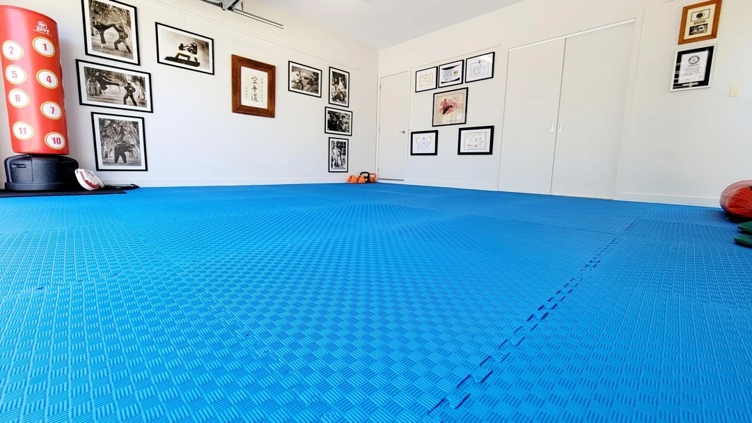 Bushidokai International - Headquarters to a Mixed Martial Arts program for all ages and fitness levels