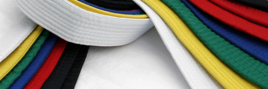 Blue Mountains Taekwondo