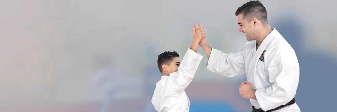GKR Karate Aberfoyle Park Campus Drive
