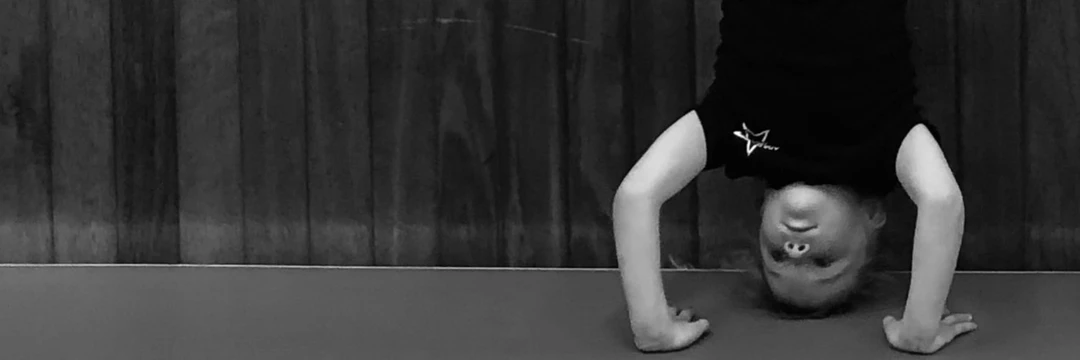 Agility Acro