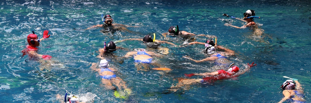 Wollongong Underwater Hockey Club