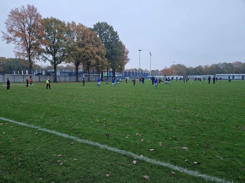 football Baardwijk