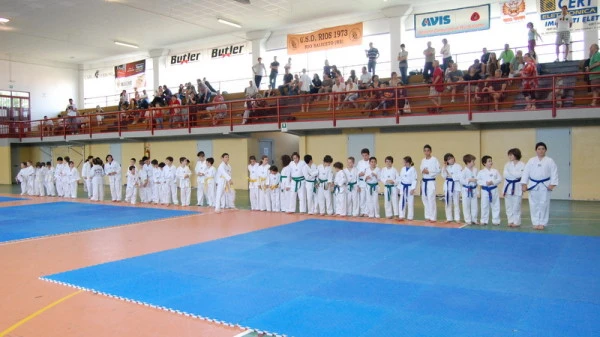 Taekwondo Tricolore