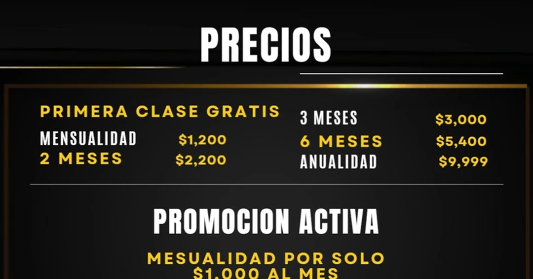 NUXZON Gimnasio De Boxeo