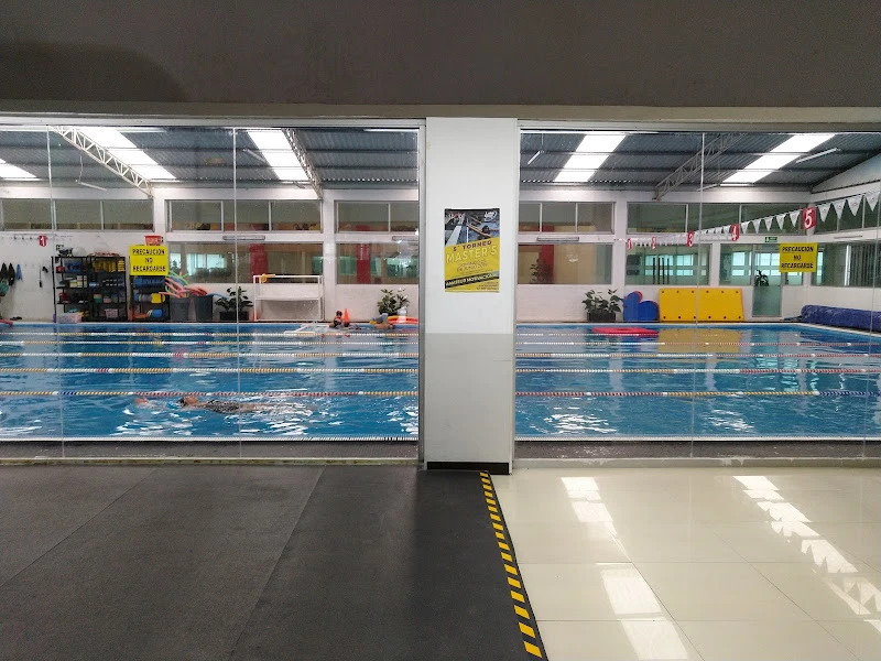 All Sport