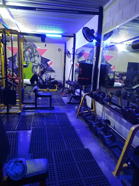 Wolf's Gym