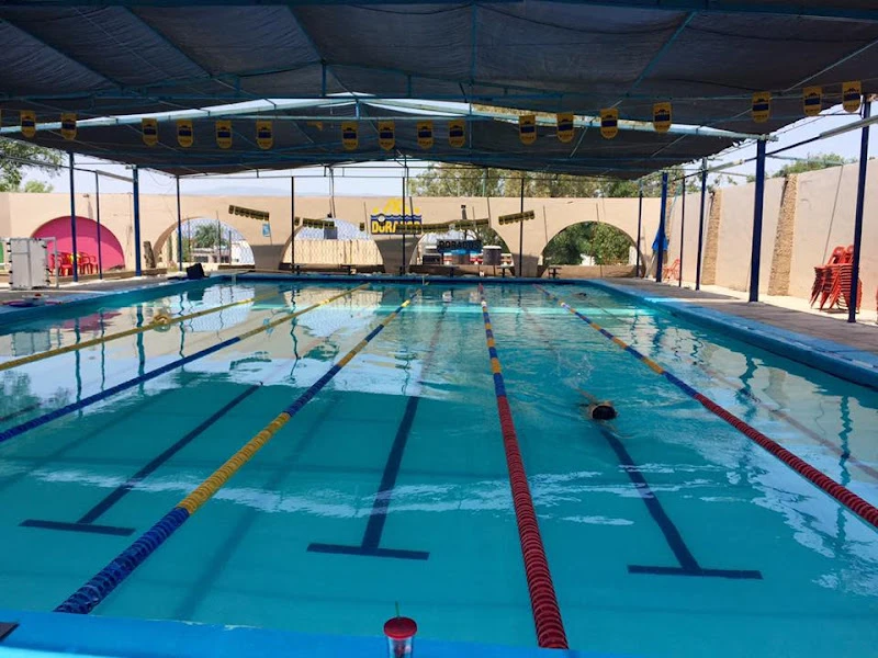 Dorados Natación