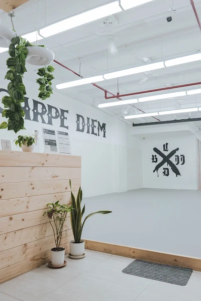 Carpe Diem BJJ