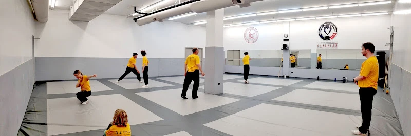 Hinton Martial Arts Academy