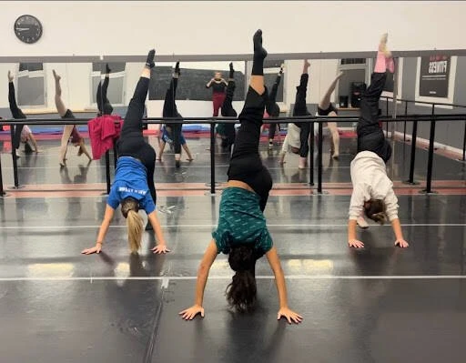 Artedanzacademy Centro Professionale Formazione Tersicorea
