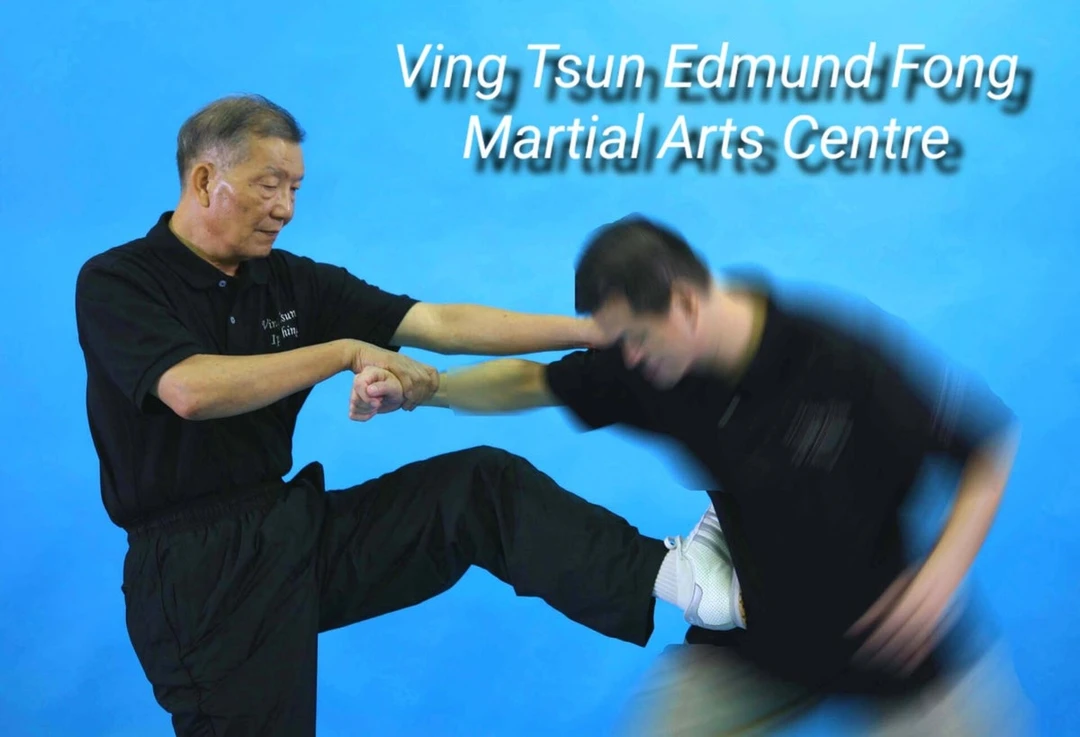Ving Tsun Edmund Fong 詠春方永康拳術館