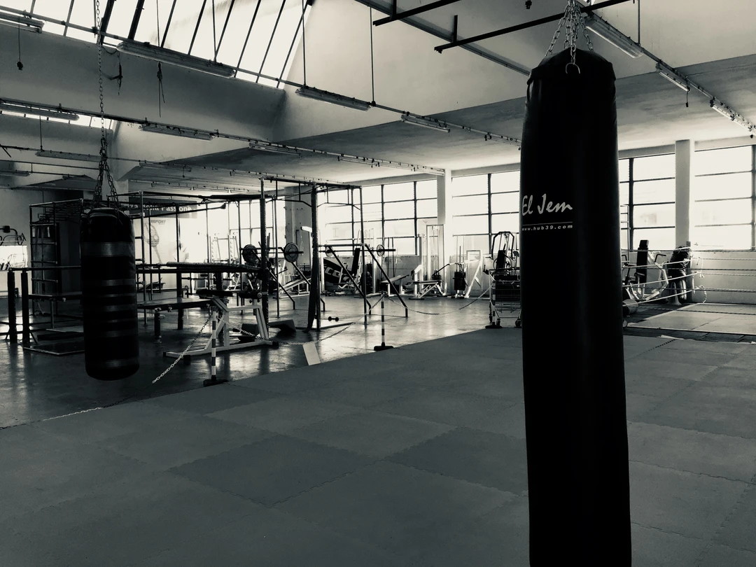 Palestra Europa Club