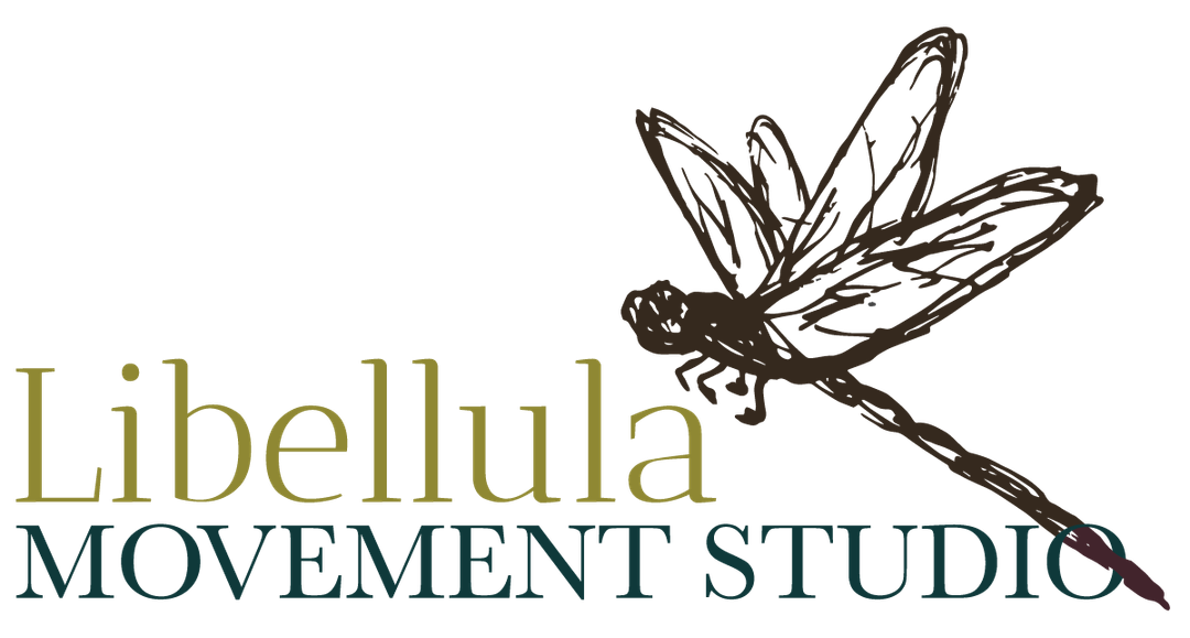 Libellula Movement Studio