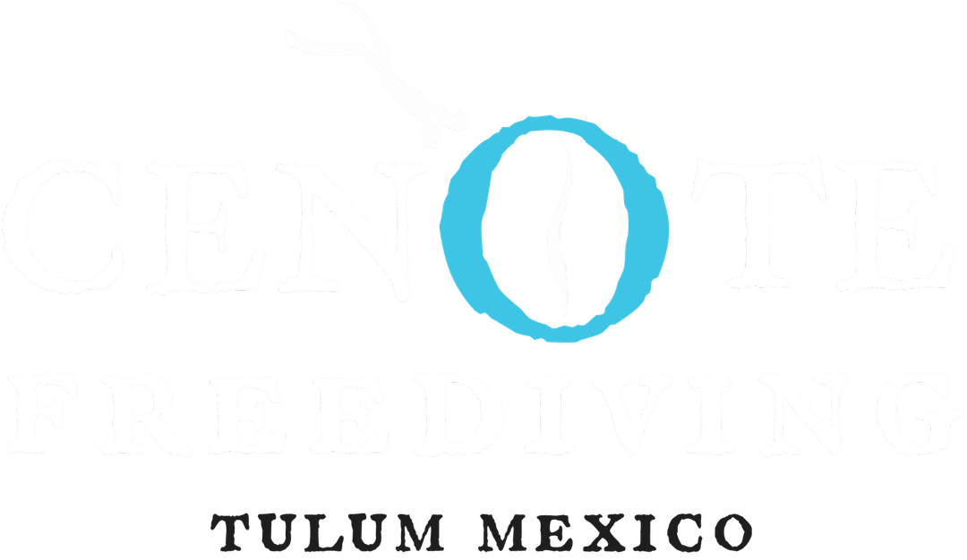 Cenote Freediving Tulum
