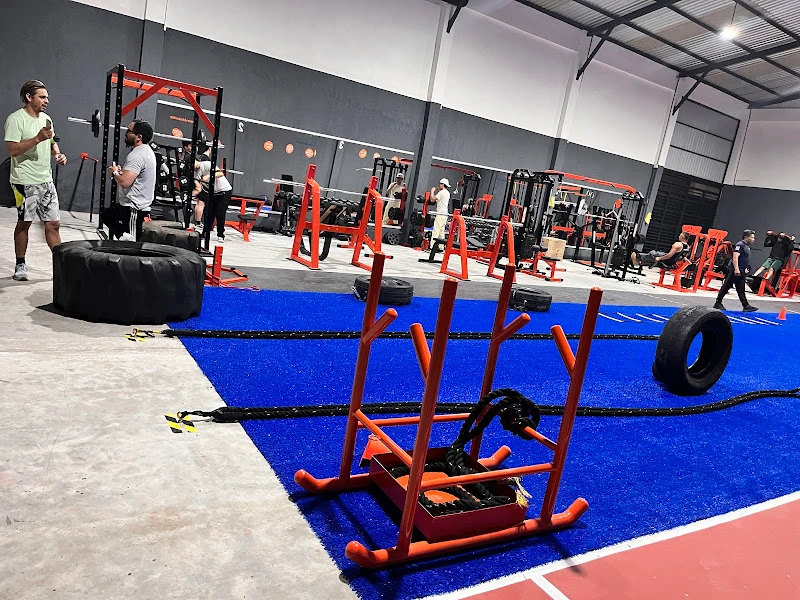 HIGH STRONG & FITNESS