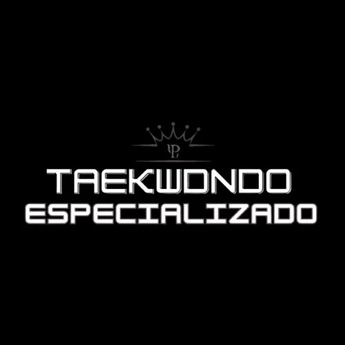 TAEKWONDO ESPECIALIZADO. VER