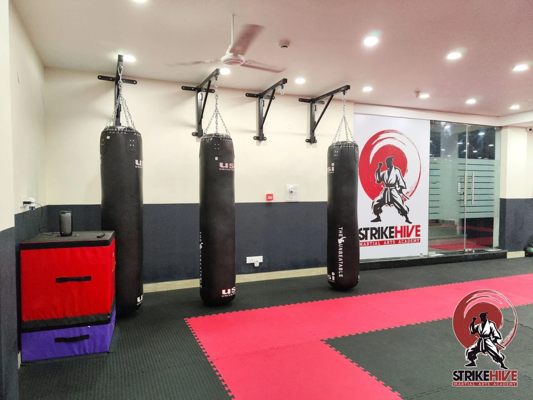 StrikeHive Martial Arts Academy