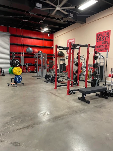 Flex One Trinity