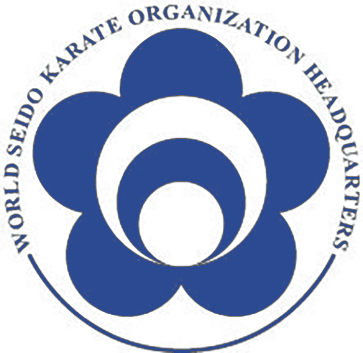 Seido Karate Braamfontein