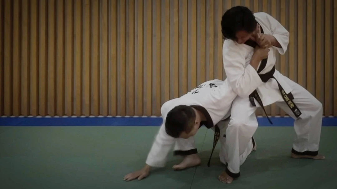 Korea Hapkido Federation Singapore - EuljiKwan