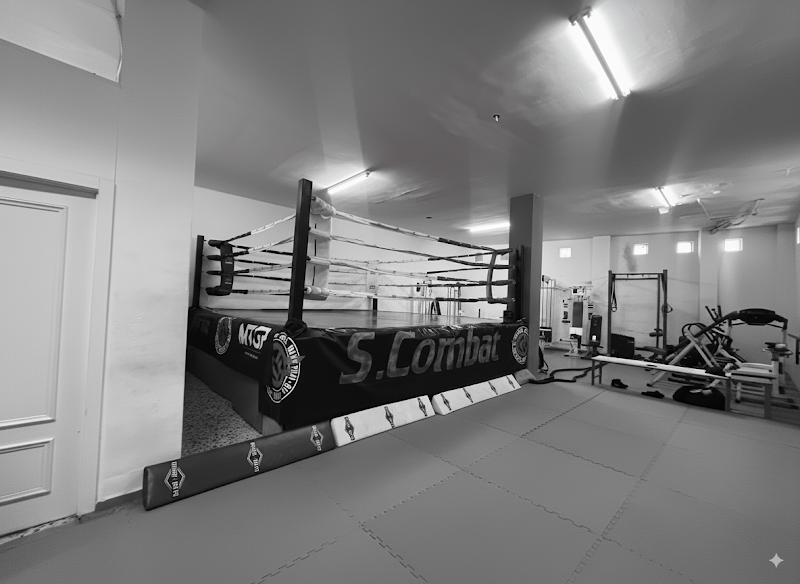 Gimnasio Ondovilla | Boxeo - JiuJitsu - Grappling - MMA | San Vicente del Raspeig