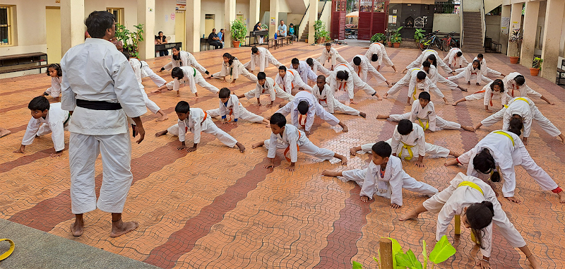 VD Sports Karate Club