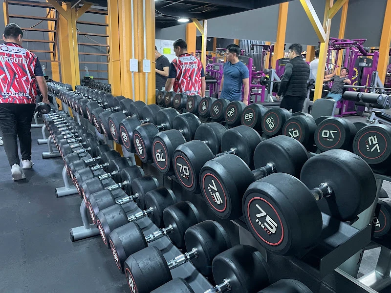 Avantie fitness Delta