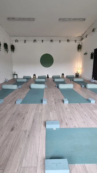 Roots Wellness