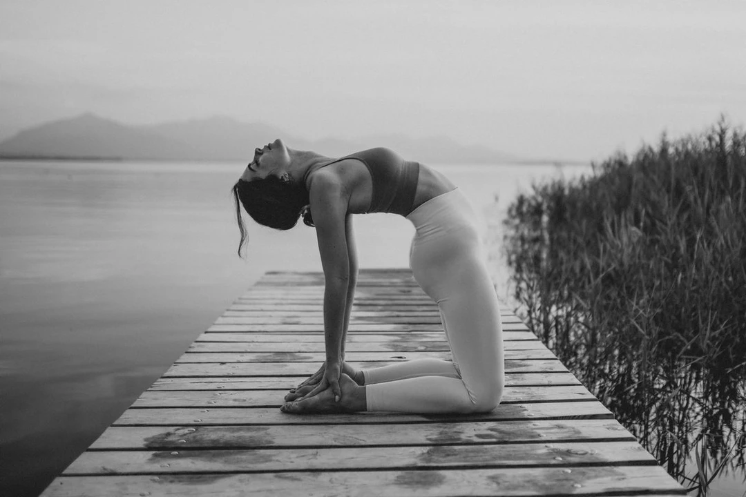 the yogi's vitamin - Anna Sophie Kreisel